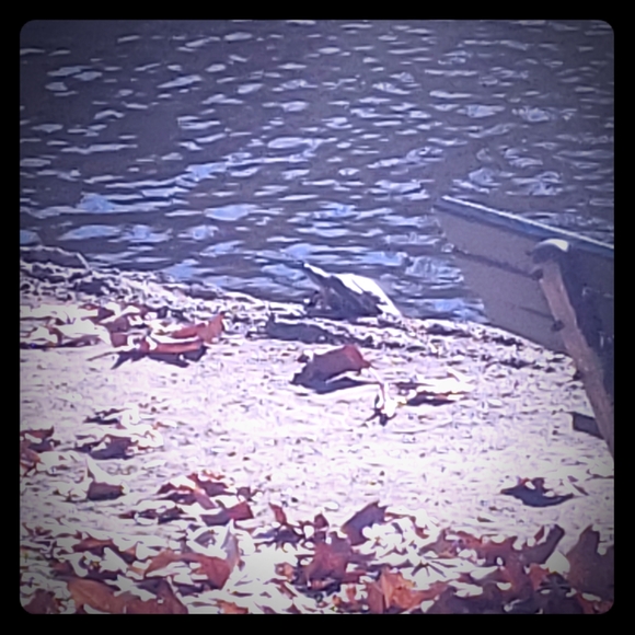 Meet your Posher, Joe - Picture 1 of 1